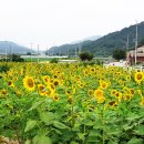 무촌마을 경남연합일보