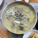 돌담할망보말톳칼국수 | 제주공항 근처 맛집_돌담할망 톳 보말 칼국수