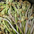 금당목장 이미지