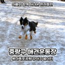 애견운동공원(3~10월) | 서울 중랑구 애견운동장 용마폭포공원 강아지 놀이터