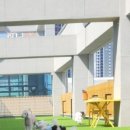 와이즈독 아카데미 이미지