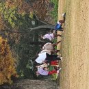 무궁화 꽃이 피었습 이미지