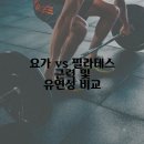요가와필라테스 이미지