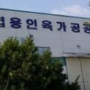 고급문장수업 - (451) 말 많고 탈 많은 띄어쓰기 정체·하나/ 저자 박대순 이미지