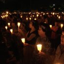 ㈜서울나비 이미지