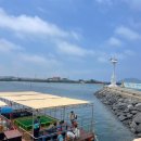 올레바당체험마을 | 제주 아이랑 낚시 체험 🎣배 안 타고 멀미 없이 즐긴 한림 올레바당체험마을 후기