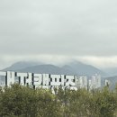 대저캠핑장 솔직 후기! 부산 도심 속 힐링 캠핑 제대로 즐겼어요!