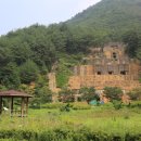 아랫대티 숲 이미지