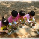 해맑음농장 이미지