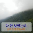 구름위 | 울릉도 깃대봉 등산코스｜억새투막집 원시림과 구름 위 절경을 만난 산행 후기