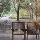 하례망장포로 | 제주도 남원 숙소 추천기 &#39;인디언썸머&#39;