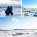 "이번 주말 데이트는 여기서!"... 서울 근교 경기도 가볼만한 겨울명소 BEST5 이미지