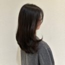 수진2호 이미지