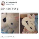 서린약국 이미지