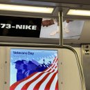 히트 관광나이트 | 24.11 미국_뉴뇩