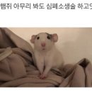 거령(주) 네이버블로그