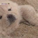 스파렉스사우나 이미지