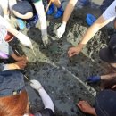 문항어촌체험마을 이미지