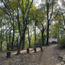 천마산(등산로입구)화장실 이미지