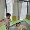 천전동3 Daum카페