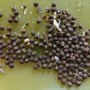 부용약국 이미지