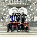 연세 태권도장 이미지