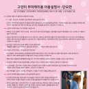 고양이 무마취 미용전문 이미지