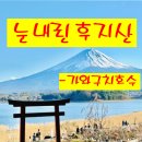 카페동네 | 후지산 가와구치호수 여행코스 | 눈내린 후지산, 카페, 동네맛집 후기