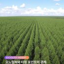 모노컬쳐