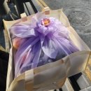 영등포청과시장 | 영등포 싱싱프룻 - 부모님 첫인사용 과일바구니 선물 후기 (온누리상품권O)