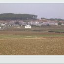 선진초등학교 이미지