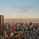 보땅 | 도쿄 3박 4일 여행 프롤로그 (도쿄 12월 날씨, 아사쿠사 센소지, 롯폰기힐스 전망대 모리타워, 도쿄역...