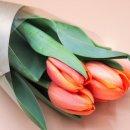 E쇼팽음악학원 이미지