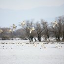 창원민박 이미지