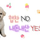 트릿츄잇 이미지