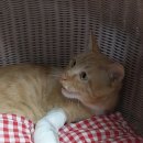 선동물병원 이미지