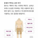 우유들의 향수 뿌리는 곳 이미지