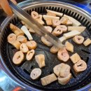 달구벌곱창막창 이미지