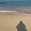 NR-6[경강로]-하-185 | 강릉 1박2일 여행 시간 순삭-!