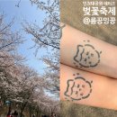 인천대공원(남문) | 인천대공원 남문 주차장 위치 꿀팁 l 벚꽃축제 벚꽃길, 타투 부스 방문까지!