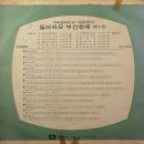 배연정 1집 [돌아와요 부산항에] (1977) 이미지