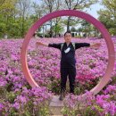 철쭉동산 이미지