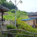 소룡산경로당 Daum카페