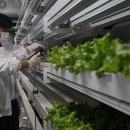 스마트팜 이미지