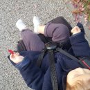 독가마 숯불바베큐 치킨 이미지