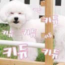 먹자 네이버블로그