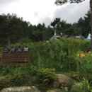 비발디 스케치북 이미지