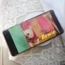 동엽에너지 이미지