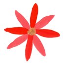 논현우리정형외과의원 이미지