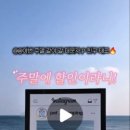 pet 29누 6284 | 애견동반숙소 펫글램핑, 라이브 방송 라방 4회차 해보니 느낀 점